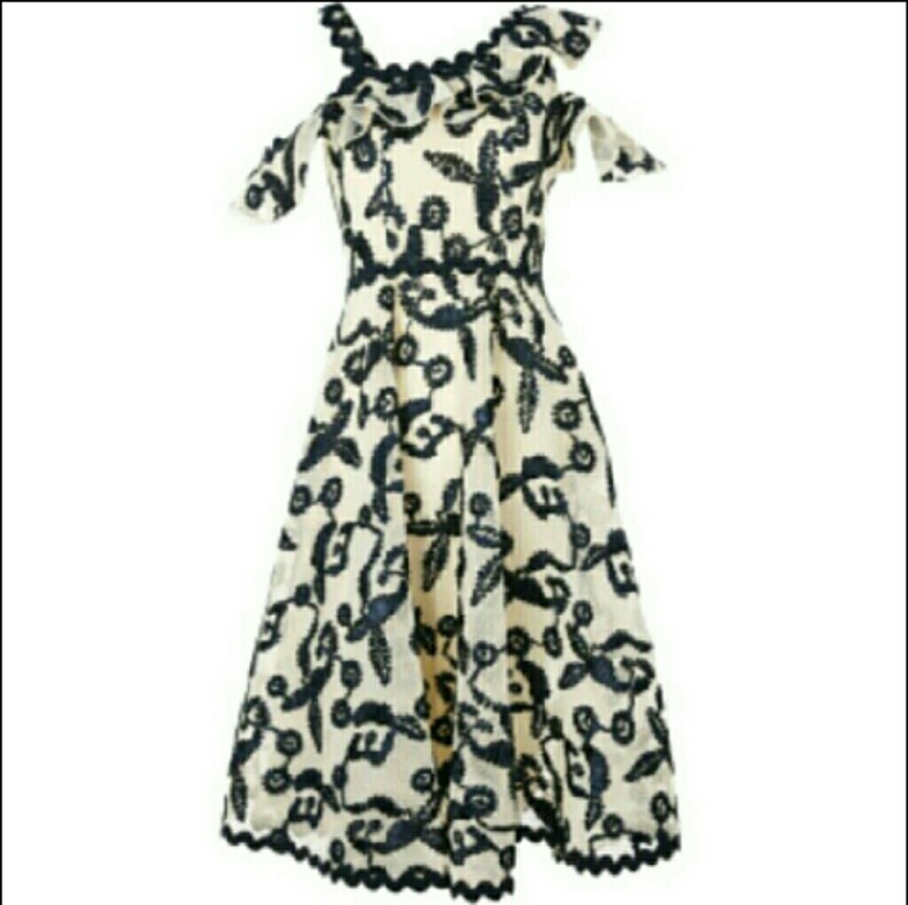 Topshop Cornelli Airtex Embroidered Dress